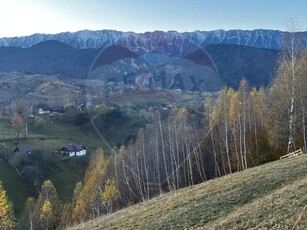 Teren Magura inima naturii perfect pentru A frame, casa vacanta