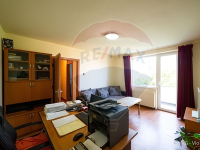 Apartament 2 camere vanzare in bloc de apartamente Arad, Central