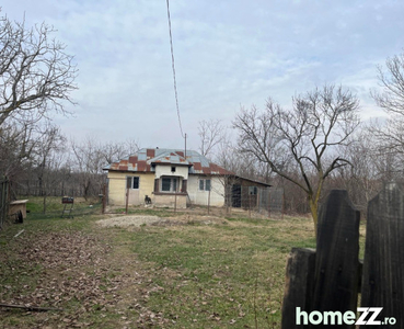 Casa partial renovata Oarja