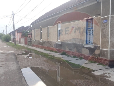 Casavila 5 camere vanzare in Bihor, Tinca