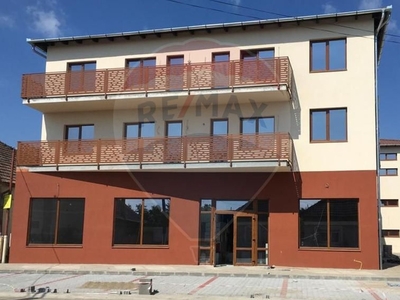 Spatiu comercial 590 mp inchiriere in Stradal, Arad, Exterior Est