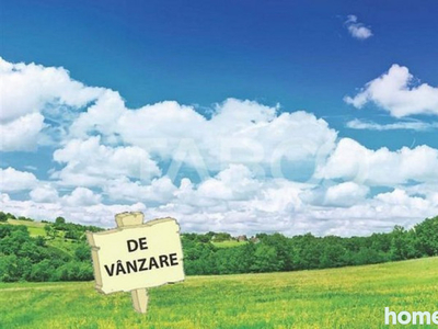 Teren extravilan de vanzare 25465 mp la intrare in Ocna Sibi