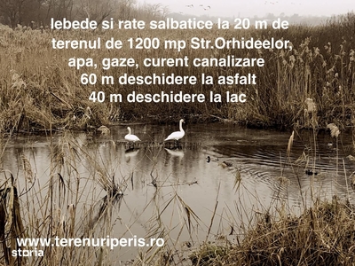 Teren lac Peris IN RATE 1000€, terenuri Tancabesti, Snagov, Corbeanca