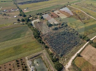 Teren Agricol, Extravilan vanzare, in Cluj, Bontida