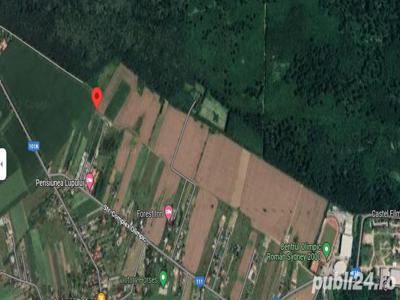 Teren intravilan 6200 mp, deschidere la padure, Izvorani - Snagov