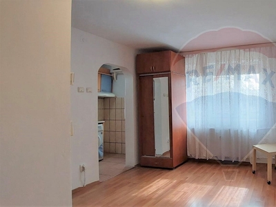 Apartament 1 camera vanzare in bloc de apartamente Bucuresti, Teiul Doamnei