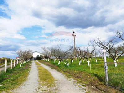 Teren extravilan, 4.000 m2, Simleu Silvaniei, jud. Salaj