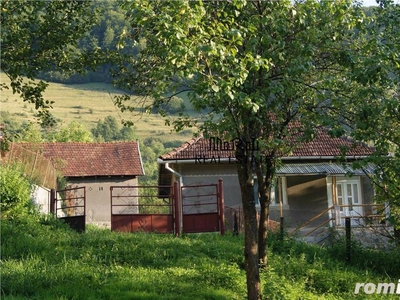 10 hectare teren plus casa la munte in Buces, Hunedoara