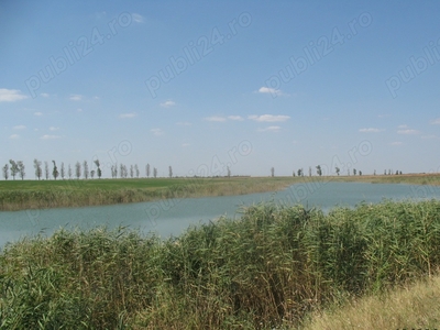 Balta pescuit, naturala, zona Urziceni-Slobozia