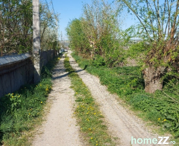 Teren comuna Blagesti Bacau 10000mp