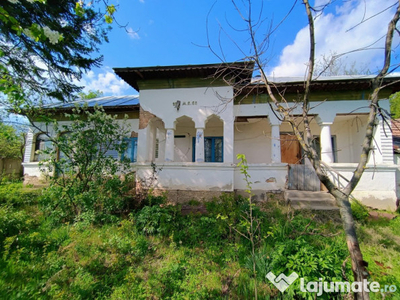 Casa la tara sat Tudor Vladimirescu, comuna Salcia, Judetul Teleorman