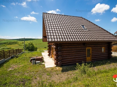 Exclusivitate! Casa din busteni intregi in Chinteni