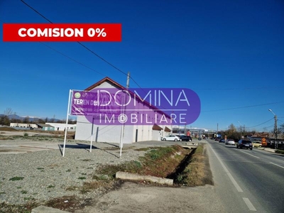 Vanzare teren *cu multiple posibilitati de exploatare* - la DN 66 - Romanesti