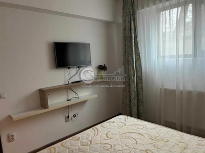 Apartament 1 camera demisol Tatarasi Piata Chirila 350 euro