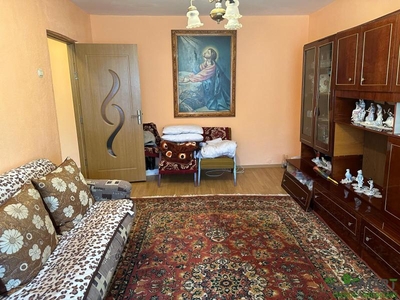 Apartament 2 camere Paltinisului