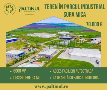 INVESTITIE: Teren de 6000 mp in Sura Mica