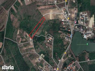 Vând teren intravilan cu puz valabil 5499 m², Saldabagiu de Munte, Bh