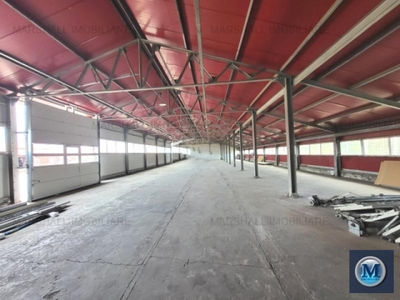 Spatiu industrial de inchiriat, zona Exterior Sud, 650 mp