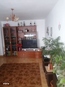 Apartament 2 camere, decomandat, centrala, Borcanul cu Miere, Rovine