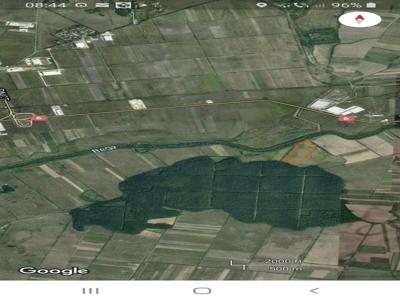 Vand 6,77 ha teren agricol extravilan Ghiroda, Jud. Timis