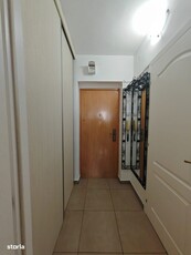 apartament 2 camere teiul doamnei