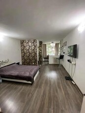 Apartament cu 1 camera - zona Podu de Piatra -Pet Friendly