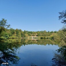 Branesti, vila cu deschidere lacul Pasarea si vedere padurea Cernica