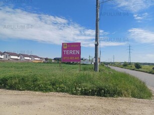 Teren 3.500 mp intravilan construibil pe DJ 602, n SAbAreni