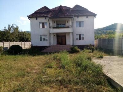 Vila P+1+pod,3.000 mp teren,Mintia-Deva