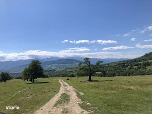 15500 mp faneata de vanzare in Titesti, Valcea