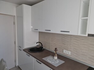 Inchiriere apartament 2 camere Rahova, stradal Pecineaga Apartament spatios 60 mp de i