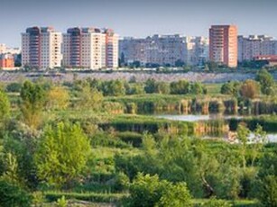 Teren Vacaresti, Parcul Natural Vacaresti