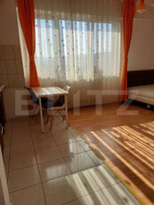 Apartament cu 1 camera