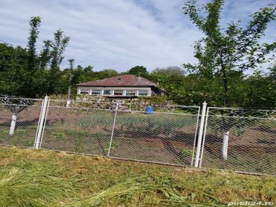 Casa de vanzare + teren si padure, Comuna Dumbrava de Jos, Sat Higiu