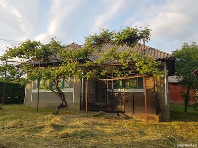 Casa pe 40 arii de teren in loc.Trestia la 26km de Baia Mare