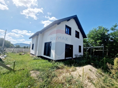 Casavila 4 camere vanzare in Neamt, Ciritei