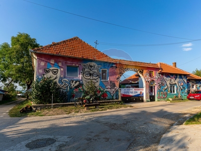 Casavila 6 camere vanzare in Hunedoara, Nucsoara