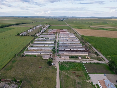 Spatiu industrial 20000 mp vanzare in Hală, Suceava, Nord