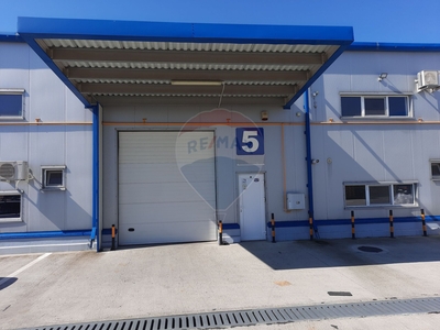 Spatiu industrial 300 mp inchiriere in Hală, Dolj, Carcea