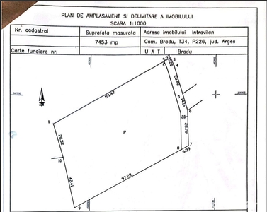 Teren de vanzare, 7453 mp, Bradu