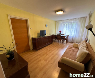 Apartament 4 camere Teiul Doamnei