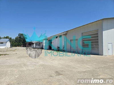 SPATIU INDUSTRIAL | NUCET | 23689 MP | HALE | SPATIU BIROURI |