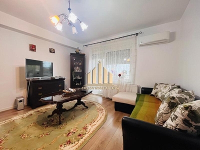 Apartament cu 1 camera si terasa, Maieri