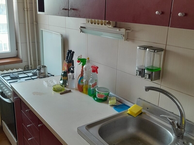 Inchiriere apartament 2 camere Dumul Taberei, Raul Doamnei 2 cam