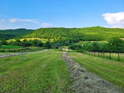 Teren cu panorama superba, de vanzare, Lugasu de Sus, Bihor