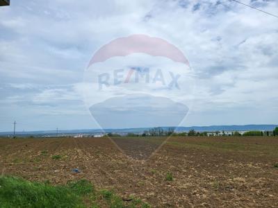 Teren Agricol, Extravilan vanzare, in Bacau, Magura