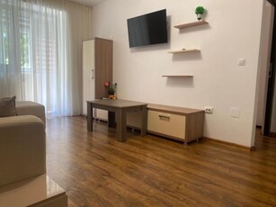 Apartament cu 2 camere - Centru - bloc Guliver