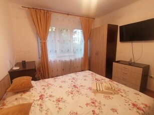 Apartament cu 2 camere, etajul 1/4, zona Podu Ros