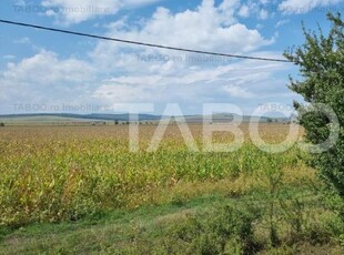 Teren de vanzare extravilan 28000 mp in Sura Mica judetul Sibiu