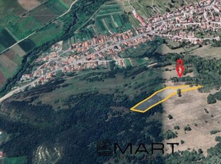 Teren extravilan 5500 mp, la padure zona Selimbar (Mohu)